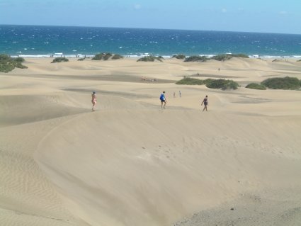 gc01