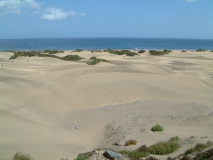 gc12