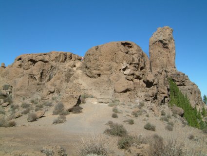 gc25