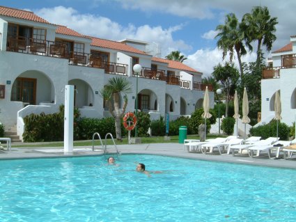 palmeras102