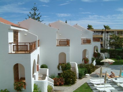 palmeras2