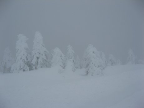 thharz2012_14