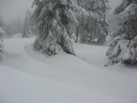 thharz2012_17